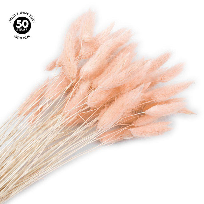 50 Pcs Bunny Tails, Lagurus Ovatus, Natural Pampas Grass Dried Flowers-Set of 50-Koyal Wholesale-Natural-