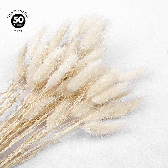 50 Pcs Bunny Tails, Lagurus Ovatus, Natural Pampas Grass Dried Flowers-Set of 50-Koyal Wholesale-Natural-