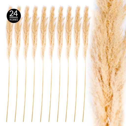 Set of 24 Extra Large Tall Preserved 55” Pampas Grass-Set of 24-Koyal Wholesale-Natural-51-55"-