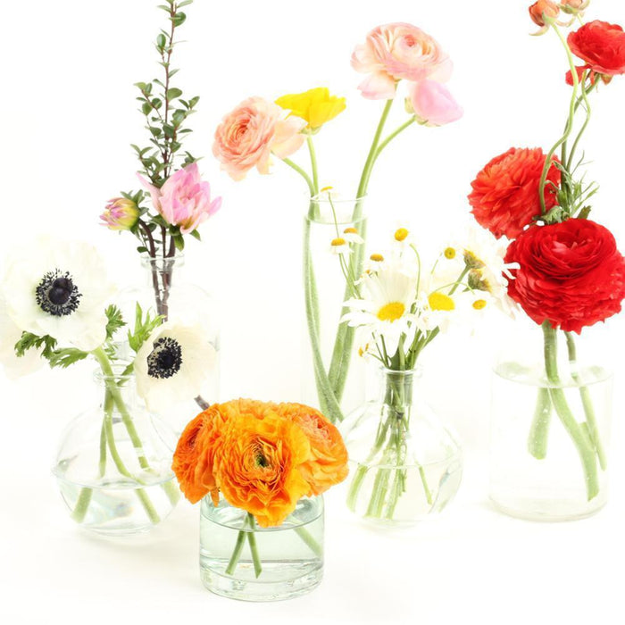 Set of 6 Mini Glass Jug Vases-Set of 6-Koyal Wholesale-