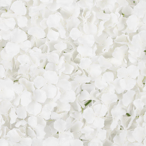 Set of 8 Silk Artificial Hydrangea Flower Wall Panels-Set of 8-Koyal Wholesale-White Cream-24" x 17" x 2.5" H-