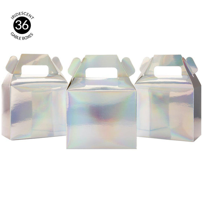 Iridescent Holographic Gable Boxes-Set of 36-Andaz Press-Iridescent-