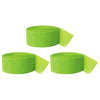 Kiwi Green Crepe Paper Streamer Hanging Decorative Kit-Set of 3-Andaz Press-