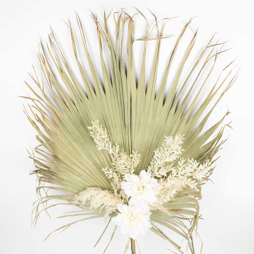 Large Sun Dried Palm Fans, Natural Wedding Home Décor, 30 - 48"-Set of 12-Koyal Wholesale-