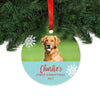 Photo Personalized Aqua & Red Animal Round Metal Christmas Ornament, Custom Name-Set of 1-Andaz Press-