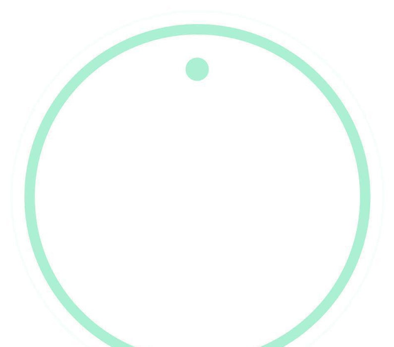 Solid Color Circle Blank Gift Tags-Set of 24-Andaz Press-Mint Green-